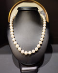 Pearl # 4